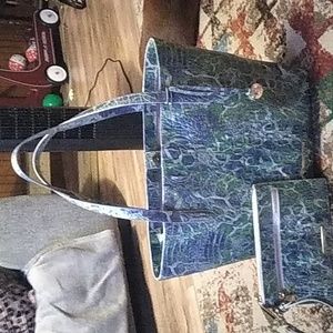 Beautiful Brahmin Brooke